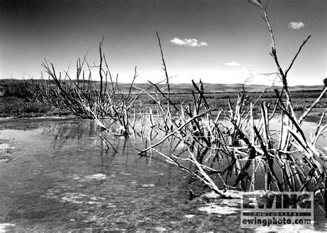 Landscape Photography of U.S. Grasslands — Gifford Ewing Photography