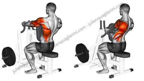 Image result for Back-Row Machine