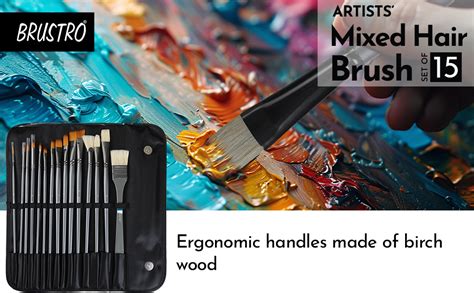 Brustro Artists ’ Mixed Hair Brush Set of 15 in PU Bag : Amazon.in ...