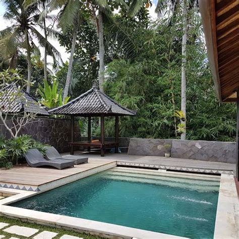 Everything you need to know to surprise your family with the perfect ...