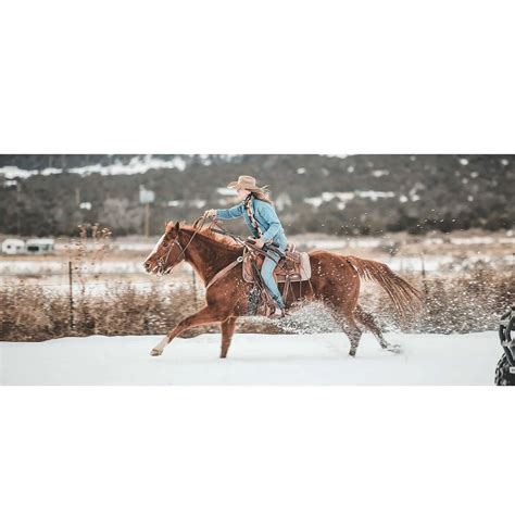 Henry Supreme 300 AAC Blackout Blackout Hard Anodized Black Lever ...