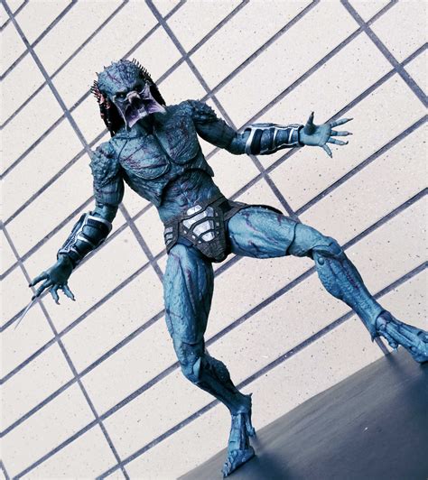 Image result for Assassin Predator