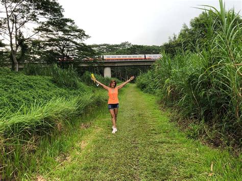 Exploring the 24km Rail Corridor Trail experience - SilverStreak