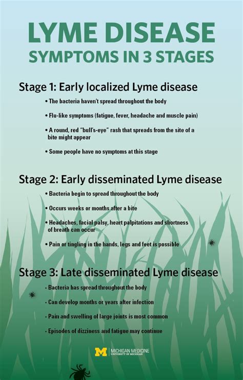 Lymes Disease Rash Treatment at Zane Hodge blog