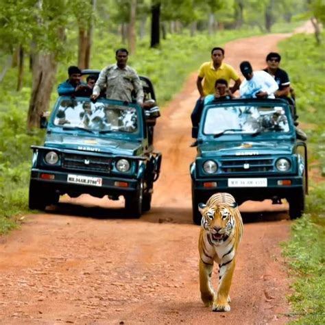 Best Rental company | Hariom Tours and Travels