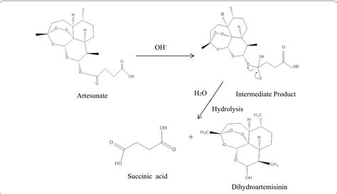 The rate of drug hydrolysis depends not only on the