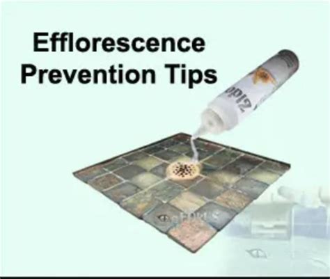 Efflorescence in Construction: Causes, Prevention, and Removal Methods ...