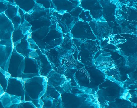 Swimming Pool Leak Detection 101 - StainlessSwim