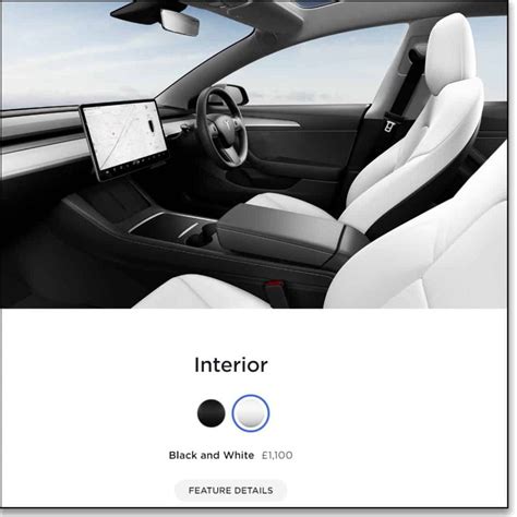 Tesla Model 3 White Interior Review | Cabinets Matttroy