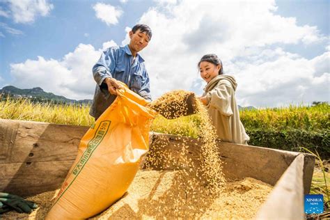 庄稼 的图像结果