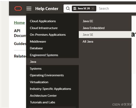 Java API Doc 的图像结果
