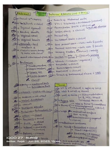 Anatomy Key Topics: Clinical Insights and Embryological Development ...