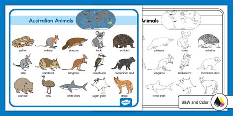 Australian Animals Word Mat (teacher made) - Twinkl