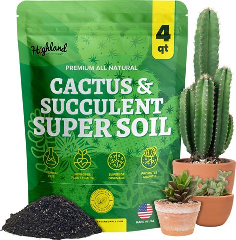 Amazon.com : Rosy Soil Cactus and Succulent Potting Soil Mix + Indoor ...