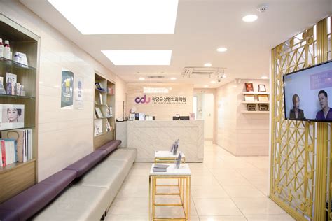 Why is South Korea the capital of plastic surgery?