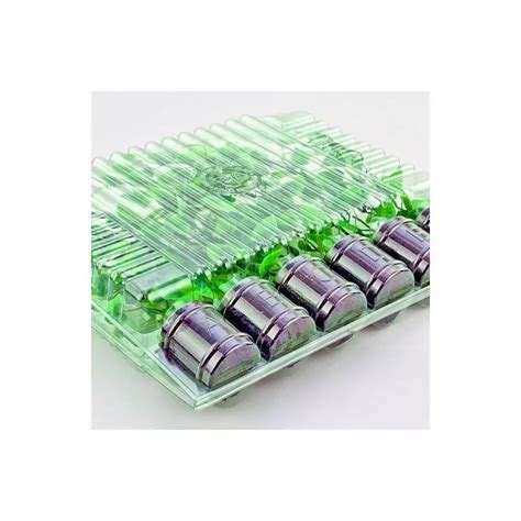 Clone Shipper - Multiple Sizes - Ship Plant Cuttings India | Ubuy