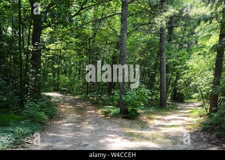 Image result for Path Divides