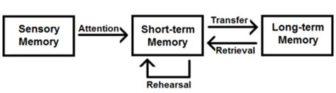 Image result for Transactive Memory Quizlet