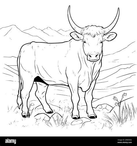 Cow Colouring Pages Pdf