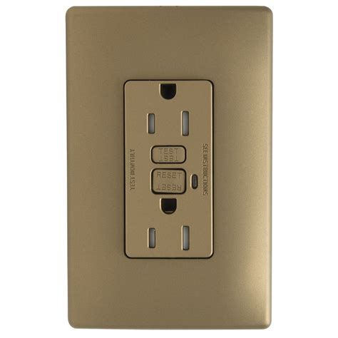 Pass & Seymour/Legrand Pass and Seymour TradeMaster 15-Amp 125-volt ...