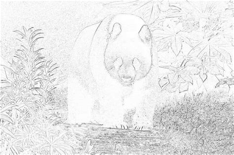 Image Processing Using R 的图像结果