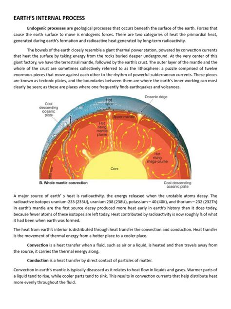 Examples of Endogenic Process 的图像结果