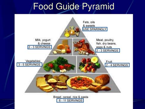 Image result for Portion Control Examples