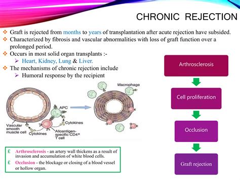 Transplantation | PPTX