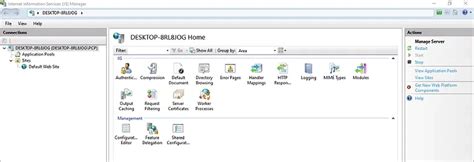 Image result for IIS .Net Core 6 Web API with Domain Name
