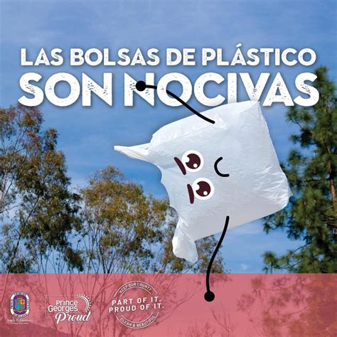 Plastic bags take centuries to decompose, pollute oceans, harm wildlife ...