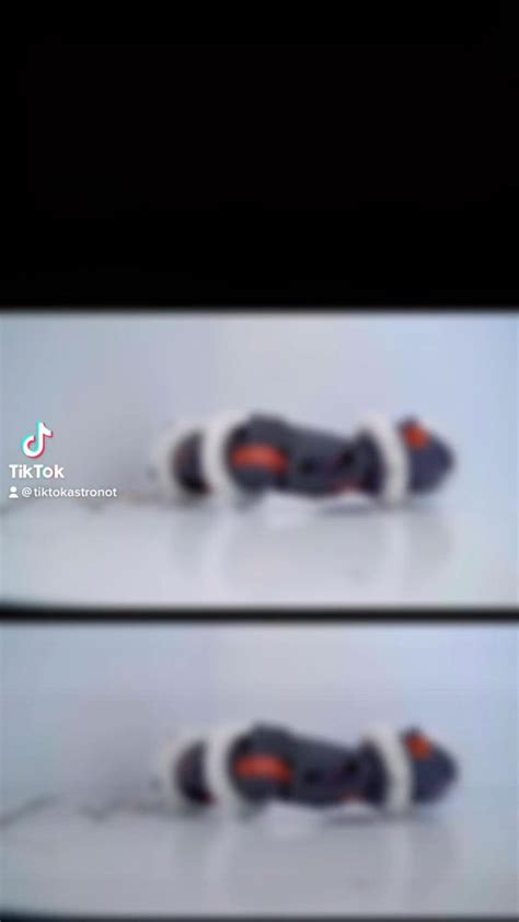 Space Robot 的图像结果