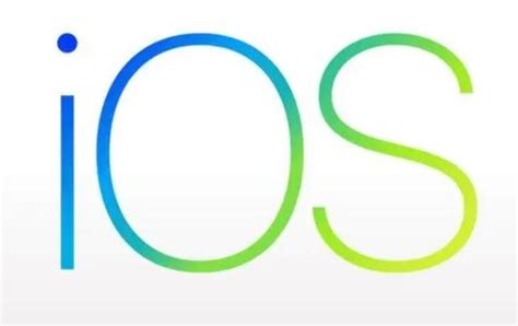 Web App 的图像结果