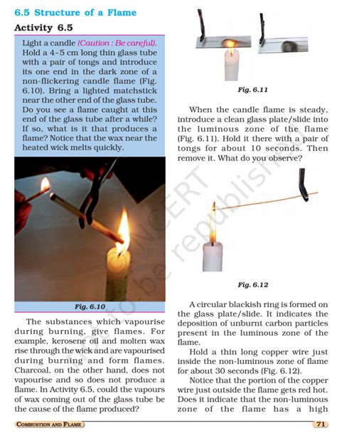 Image result for Class 8 Science Chapter 6 NCERT