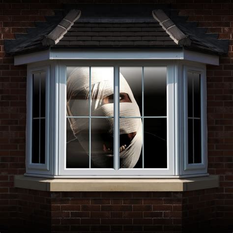 Window Projection Loop 的图像结果