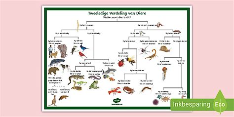 Tweeledige Verdeling van Diere Plakkaat