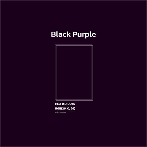About Black Purple - Color codes | Matching colors and paints - colorxs.com