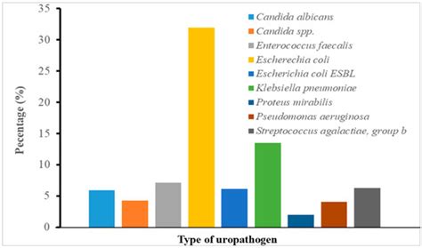 Antimicrobial Resistance in Urinary Tract Infections Among Patients ...