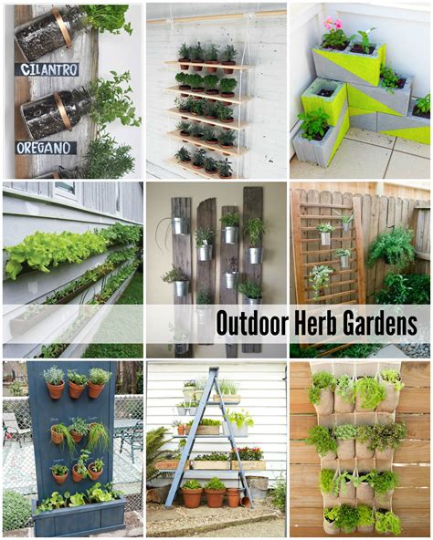 Herbal Garden Ideas at Kaitlyn Corkill blog