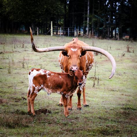 Happy Family, Fujifilm Xpro 3, Laowa 65mm f2.8 Macro : r/fujifilm