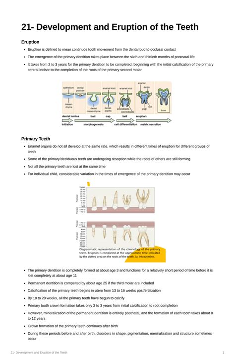 SOLUTION: Development and Eruption of the Teeth - Studypool