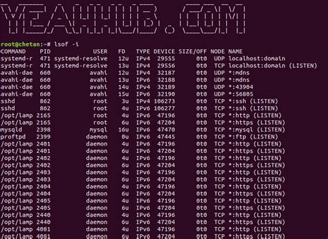 Scan Open Ports using Ss, Netstat, Lsof and Nmap - Yeah Hub