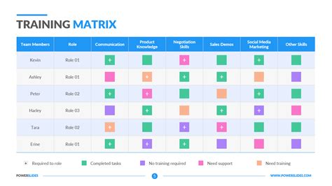 Matrix Training Program 的图像结果