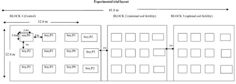 Split-Plot Analysis of Variance Rcbd 的图像结果