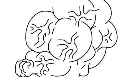 Image result for FMG Animation Compilation