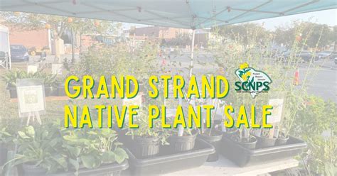 Grand Strand Native Plant Sale, 200 Laurel St, Conway, SC 29526-5126 ...