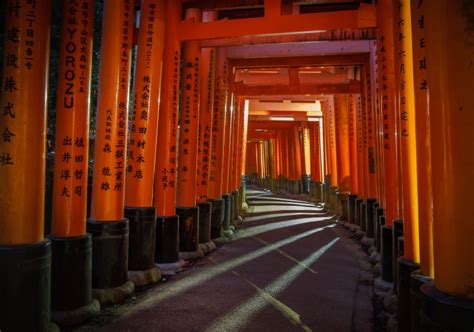 Luminar Ai Tutorials 的图像结果