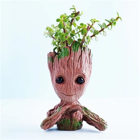 Send Jade Plant with Groot Pot Online - GAL21-99193 | Giftalove