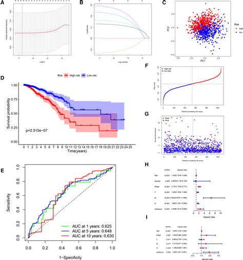 Image result for Script GRG