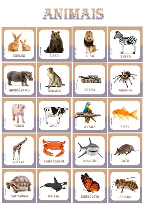 Animal Chart with Names in Spanish, English, and French