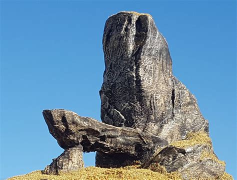 Lion Ar Rock Clipart